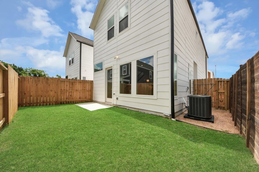 backyard backyard