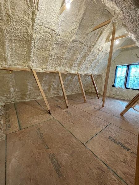 View of unfinished attic (Texas basement)