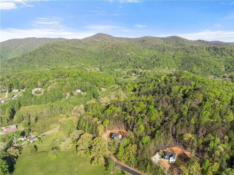 Natural landscape and outdoor views near  in Cleveland (Image 29).