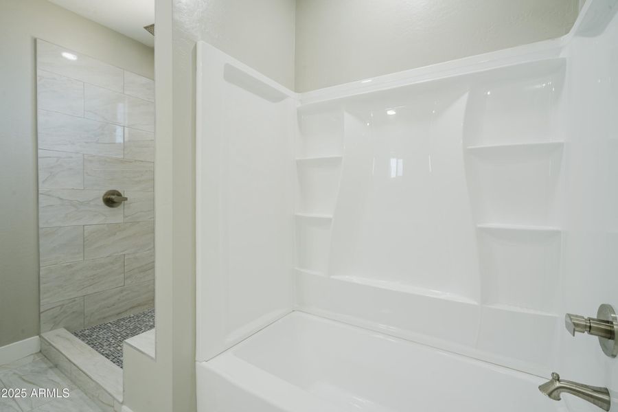 9820Sunbird-26 9820Sunbird-26