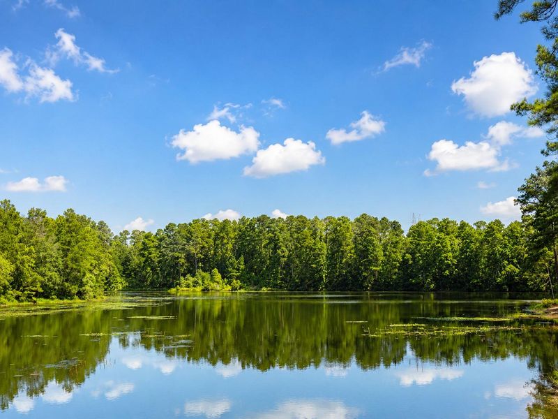 Enjoy peaceful lake views, fishing and beautiful natural surroundings right within the neighborhood.