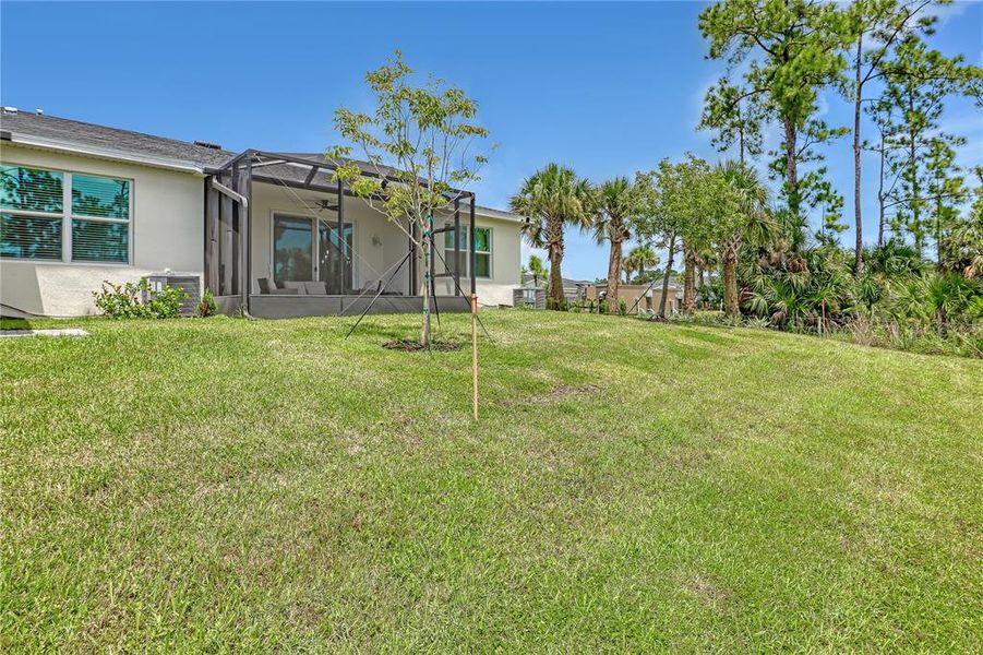 Exterior details and patio area of a home in The Timbers at Everlands, Palm Bay (Image 25).
