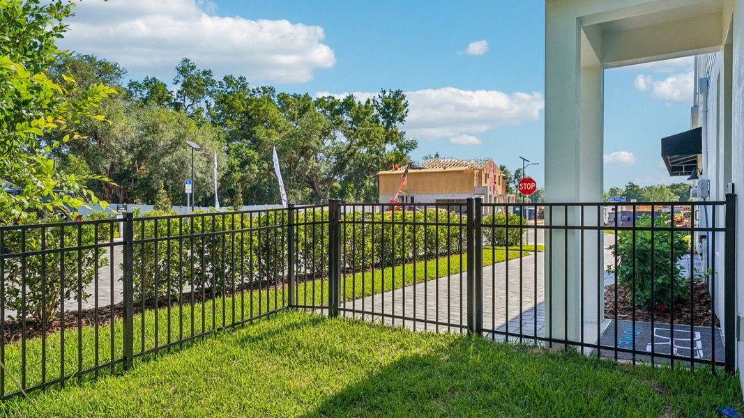 The Fenced Backyard