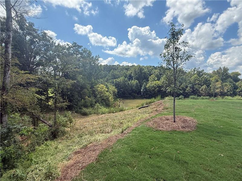 Natural landscape and outdoor views near Maple Village in Adairsville (Image 25). Natural landscape and outdoor views near Maple Village in Adairsville (Image 25).