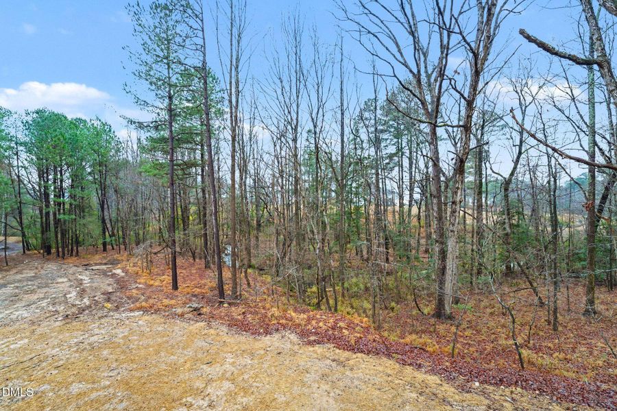 045_jam04789_676 045_jam04789_676