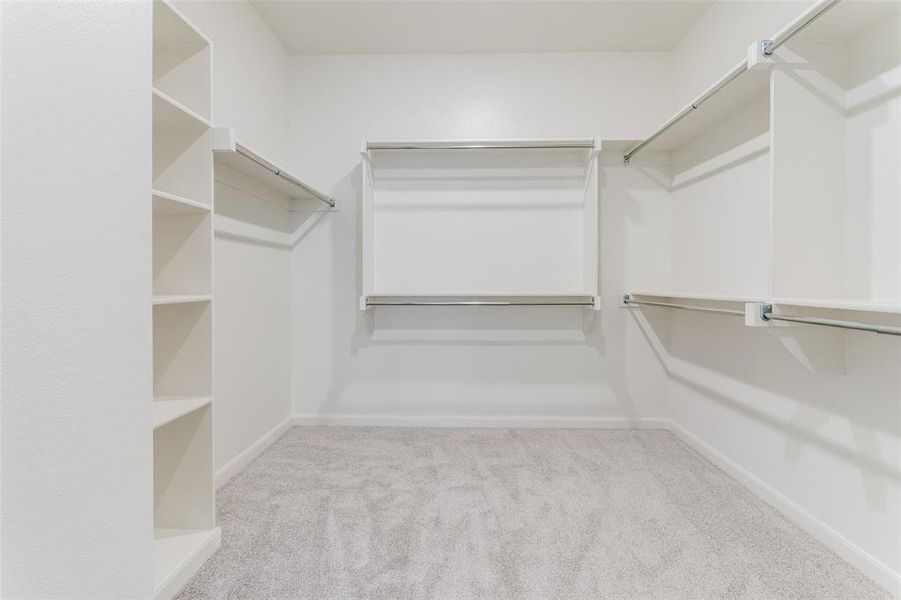 Walk-in closet with extensive built-in shelving, multiple hanging rods, and light-toned carpeting