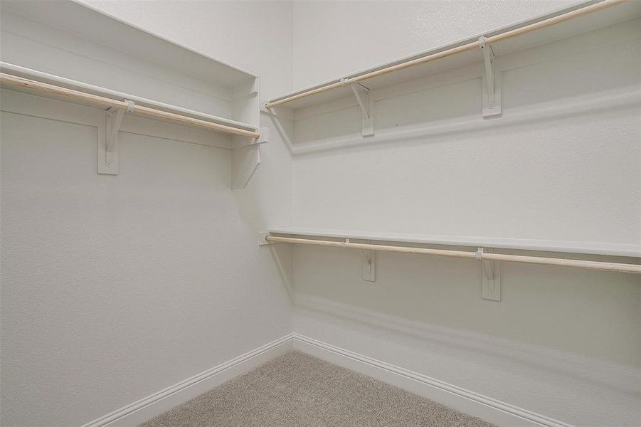 Spacious closet featuring carpet