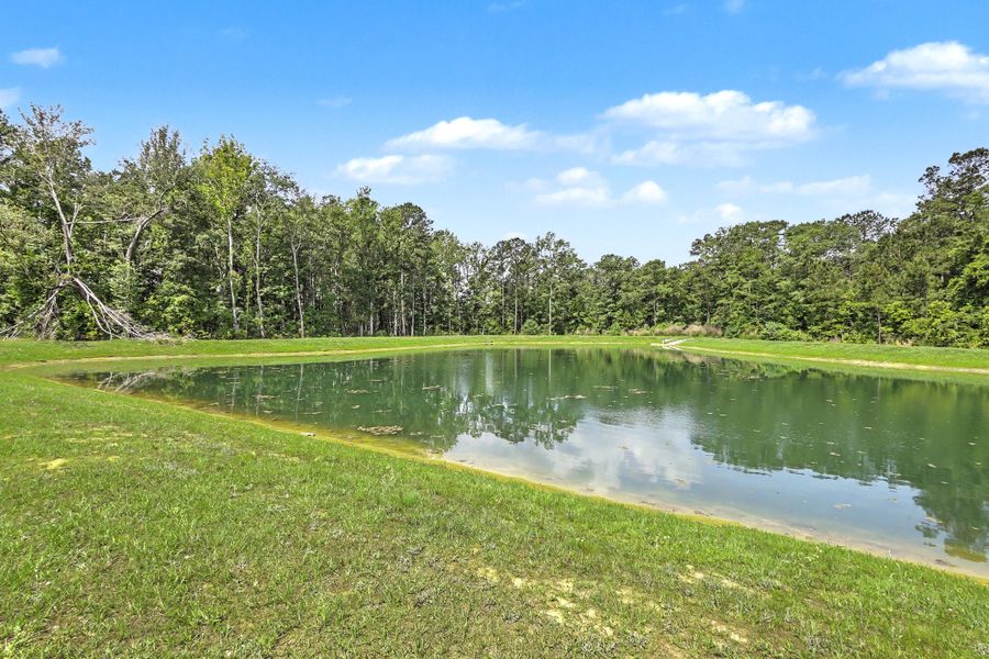 Natural landscape and outdoor views near  in Summerville (Image 36).