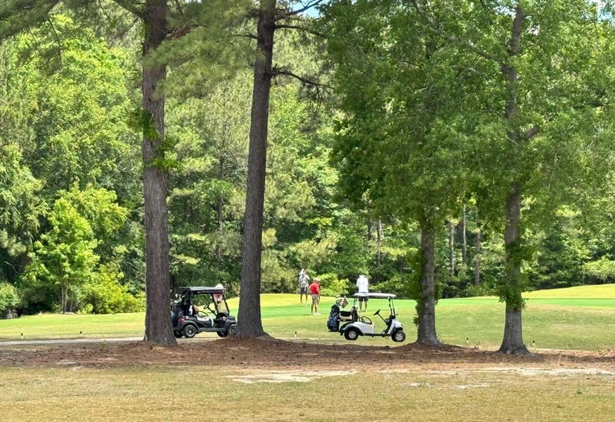 Image 40 of a home in Fairway Woods at Wyboo.