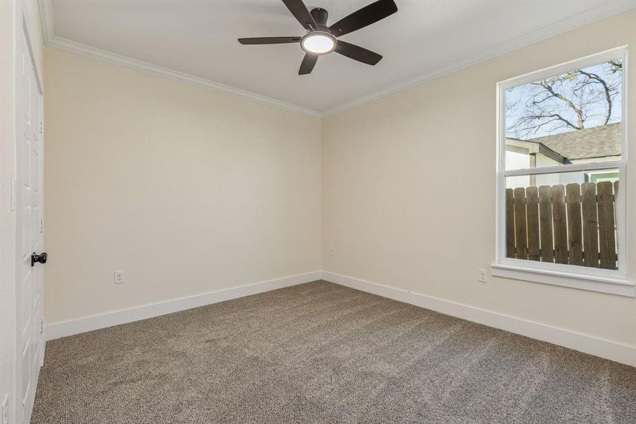 Empty room with carpet, ornamental molding, and a ceiling fan