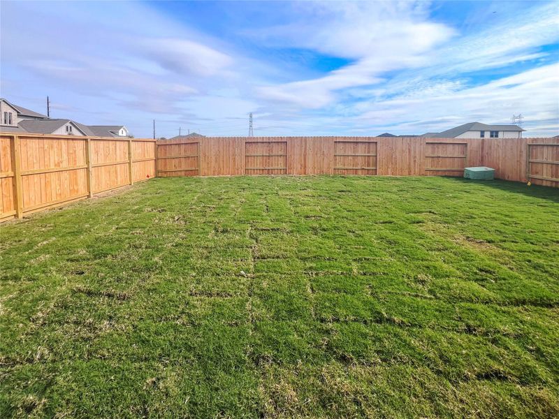 The Piedmont- Backyard