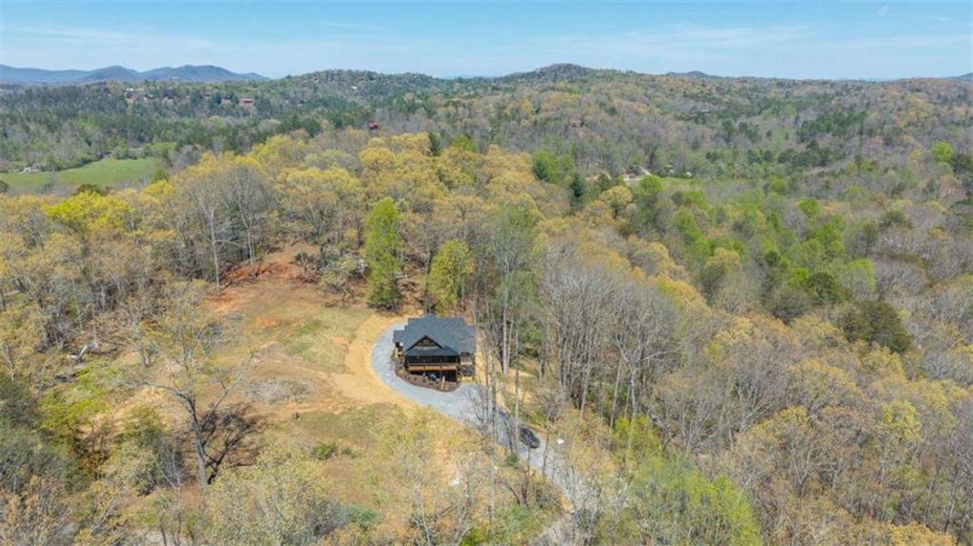 Natural landscape and outdoor views near  in Mineral Bluff (Image 40).
