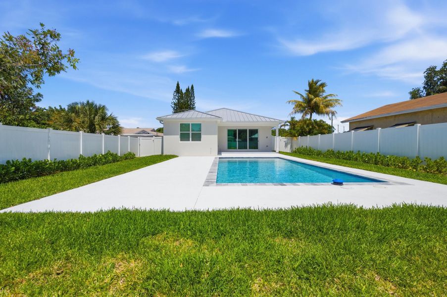 backyard backyard