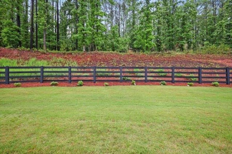 Natural landscape and outdoor views near  in Dallas (Image 34).