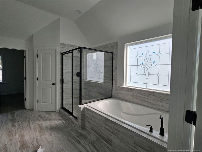 Pictures are a likeness