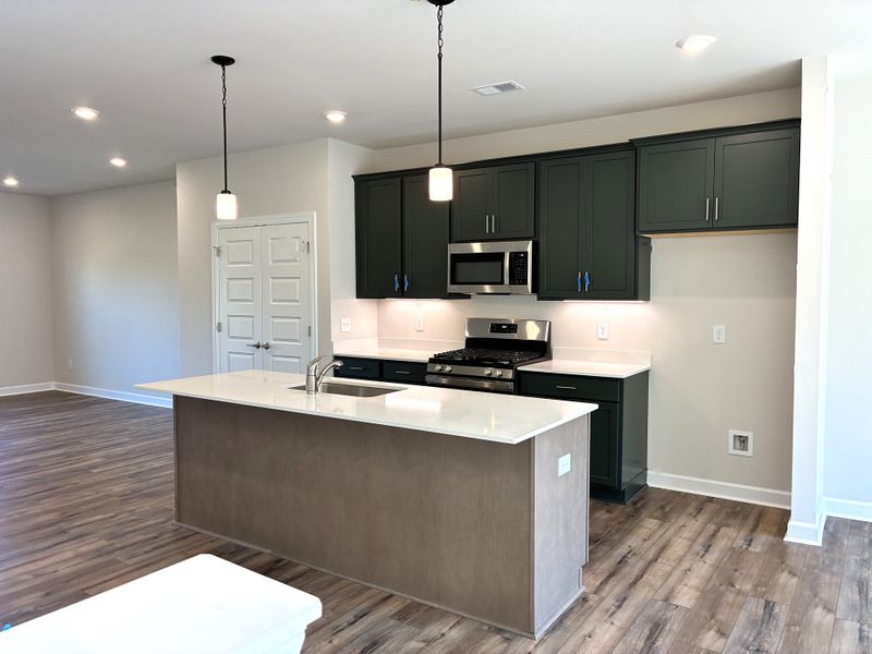Furnished interior view inside a new home in Holly View, Greenville (Image 7).