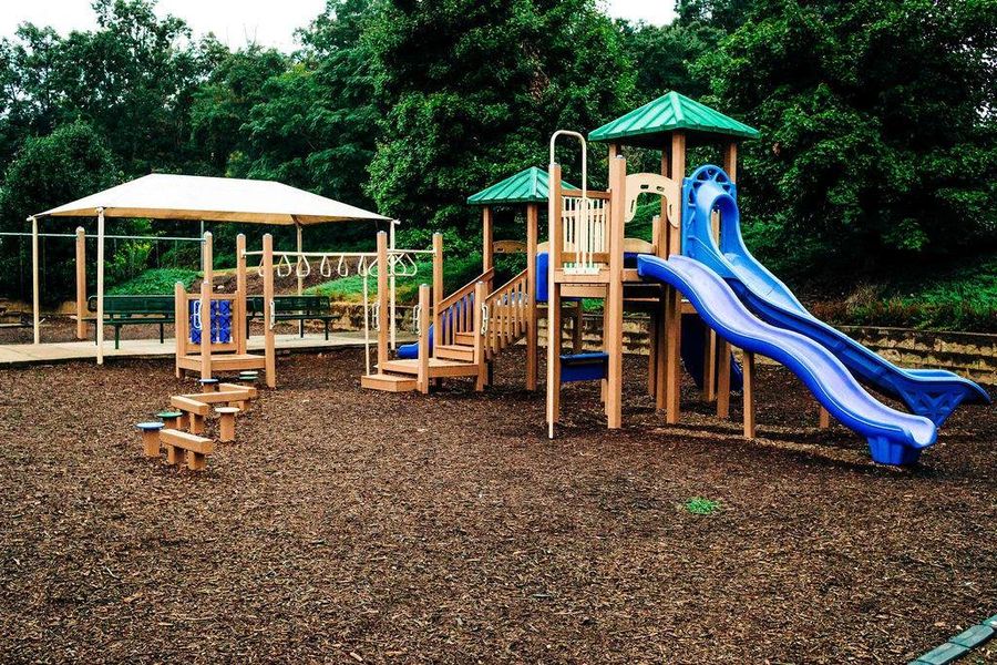 Community amenities in Rosewood Lake Estates, Hoschton (Image 46).