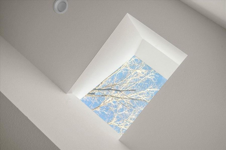 Skylight