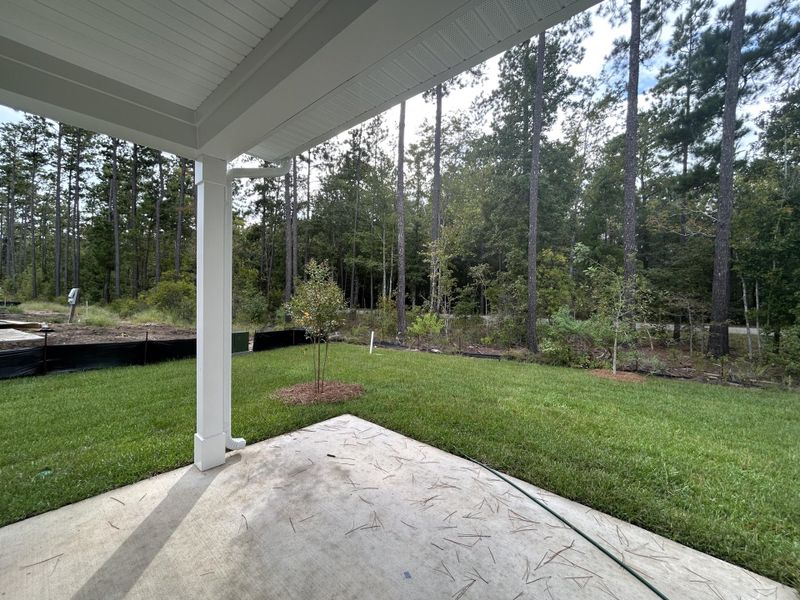 Exterior details and patio area of a home in Hammock Walk at Nexton, Summerville (Image 22).