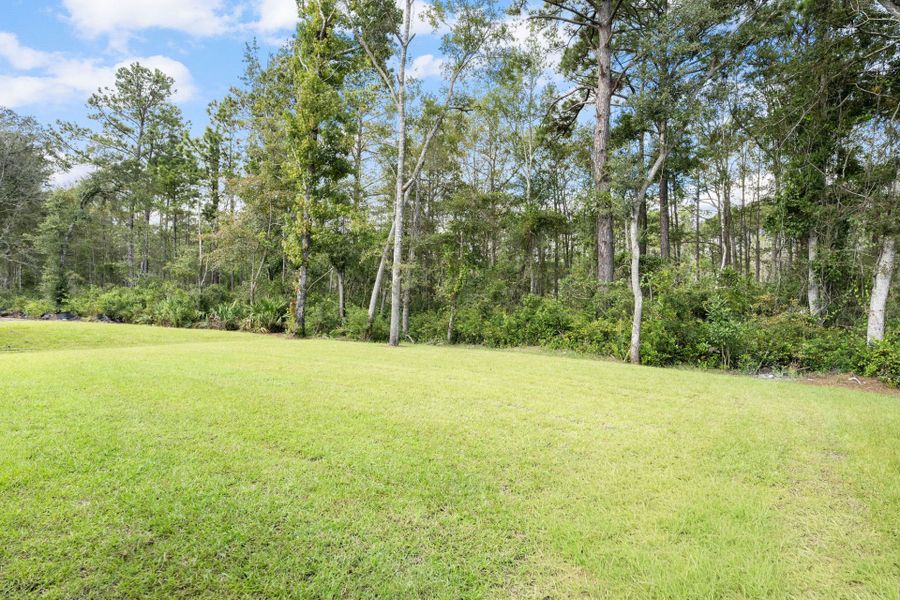 Natural landscape and outdoor views near Waterways in Richmond Hill (Image 79).