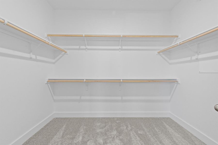 Spacious closet with carpet flooring