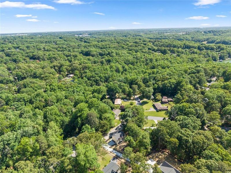 Natural landscape and outdoor views near  in Gainesville (Image 43).