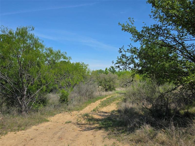 Natural landscape and outdoor views near  in San Saba (Image 21).