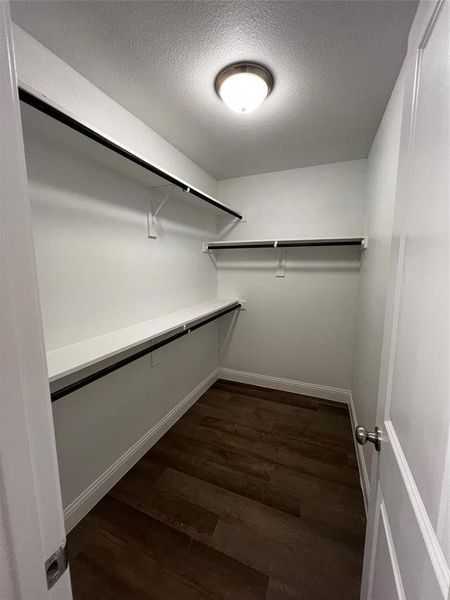 Spacious closet featuring dark hardwood / wood-style floors