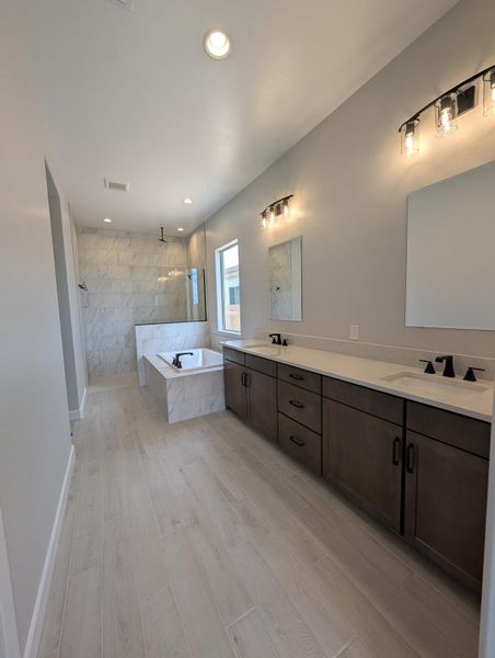 Owner's Bath Owner's Bath