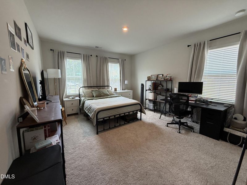 Downstairs bedroom/flex room