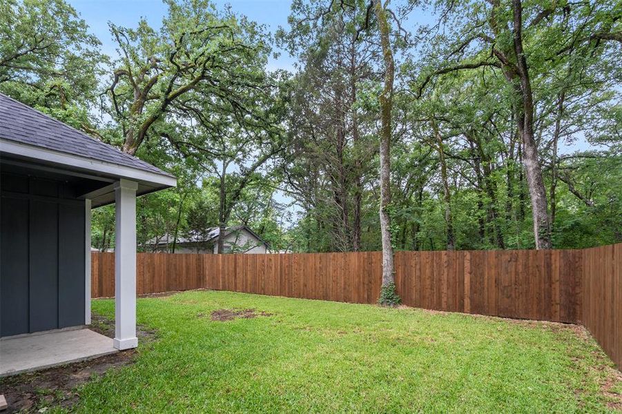 Backyard Backyard