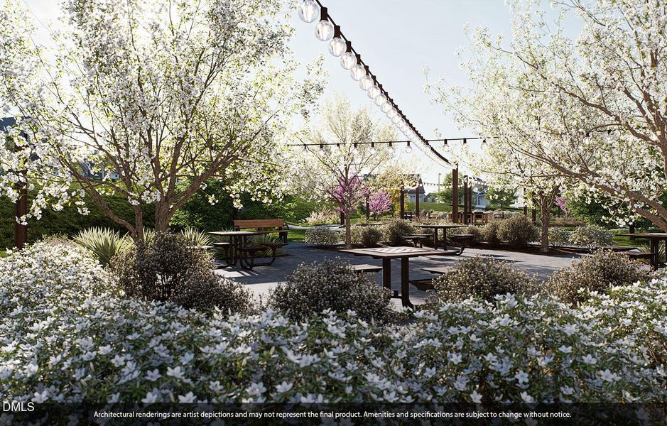 Chess Garden Daytime