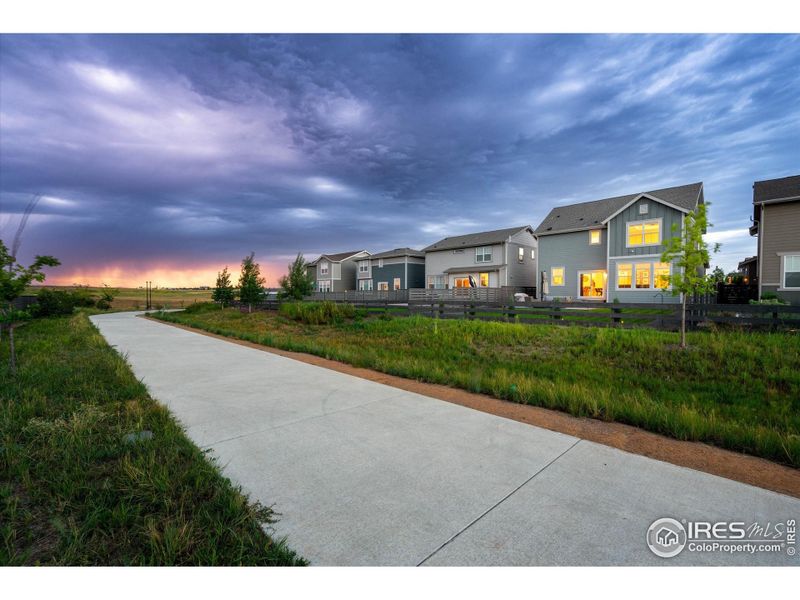 6238 Waterclover Street 6238 Waterclover Street