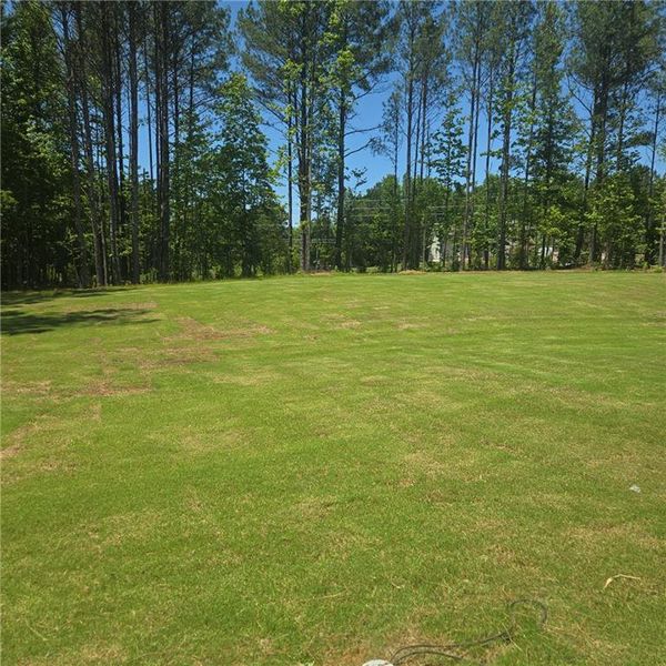 Natural landscape and outdoor views near  in Loganville (Image 11).