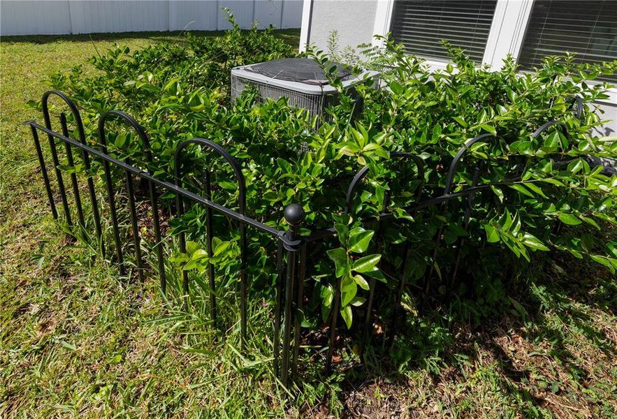 Image 41 of a home in Palm Coast Homesites.