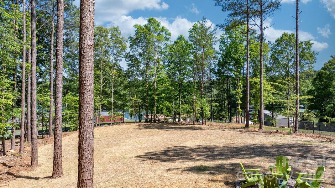 Natural landscape and outdoor views near  in Hickory (Image 38).