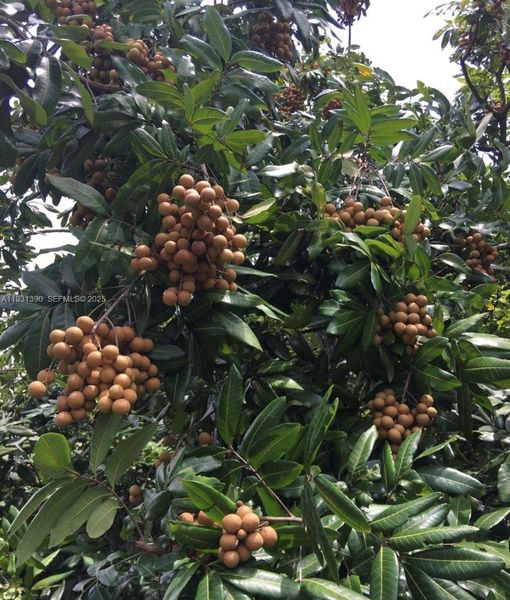 Image 12 of a home in .