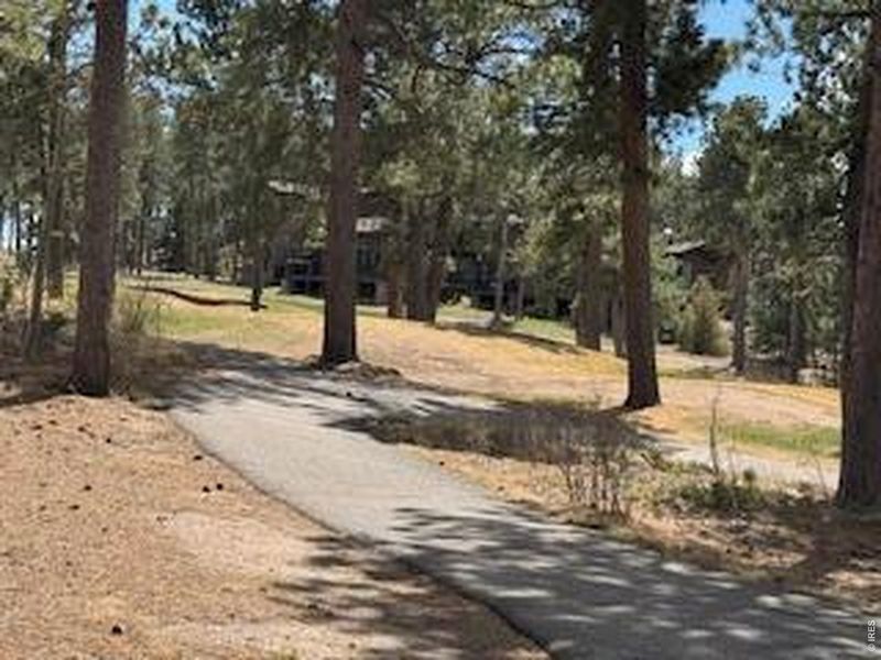 Natural landscape and outdoor views near  in Red Feather Lakes (Image 32).