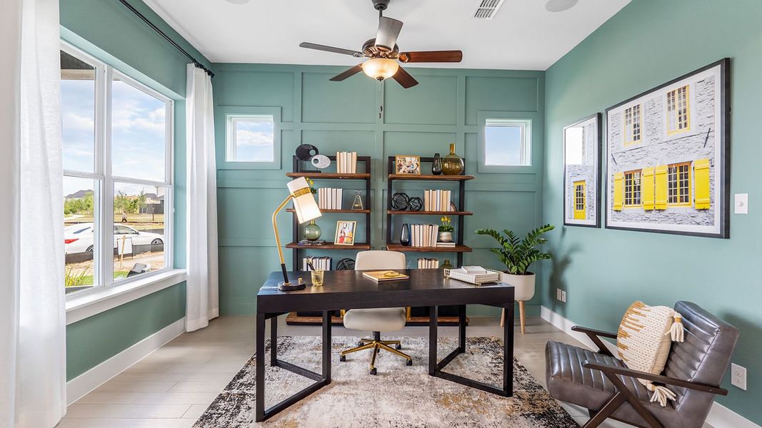 The Parma - Study The Parma - Study