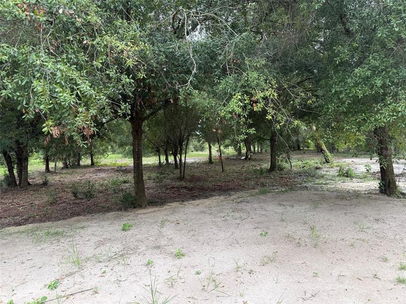 Natural landscape and outdoor views near  in Okeechobee (Image 13).