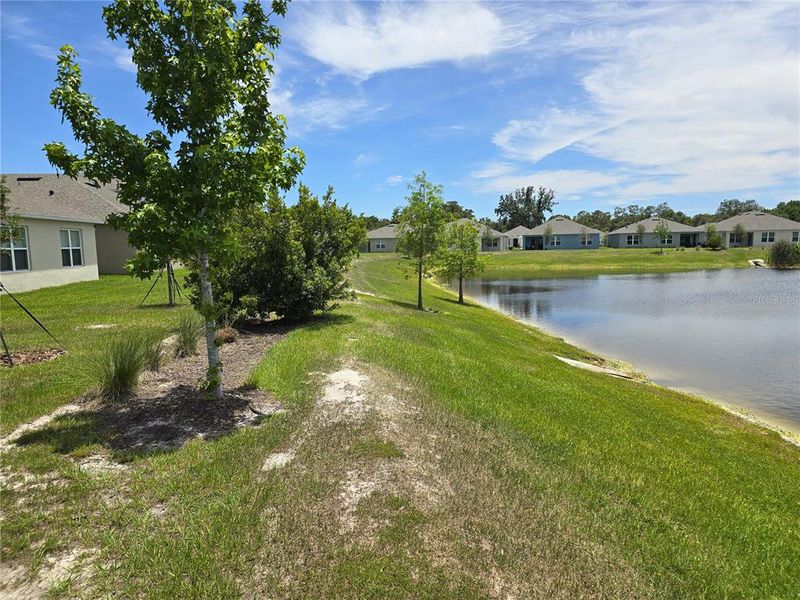 Natural landscape and outdoor views near Charles Cove Express in Davenport (Image 31).