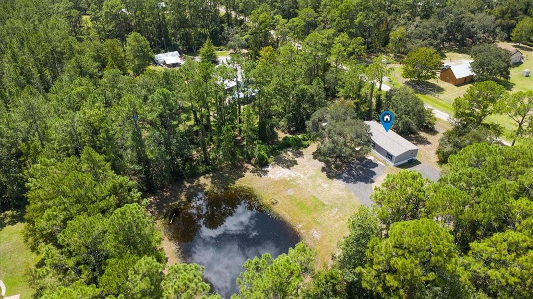 Natural landscape and outdoor views near in Bunnell (Image 22). Natural landscape and outdoor views near in Bunnell (Image 22).