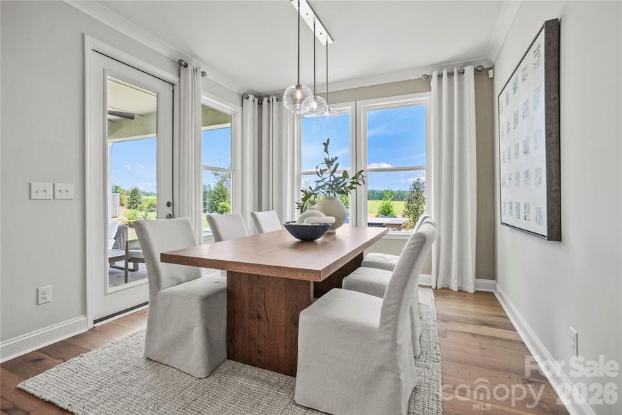 Representation photo* Representation photo*