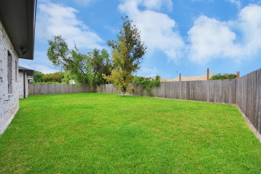 oversized Backyard