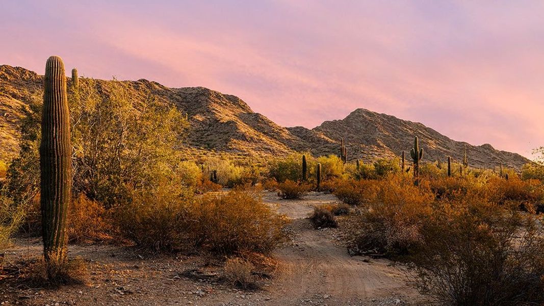 Natural landscape and outdoor views near Ladera Trails in Queen Creek (Image 27).