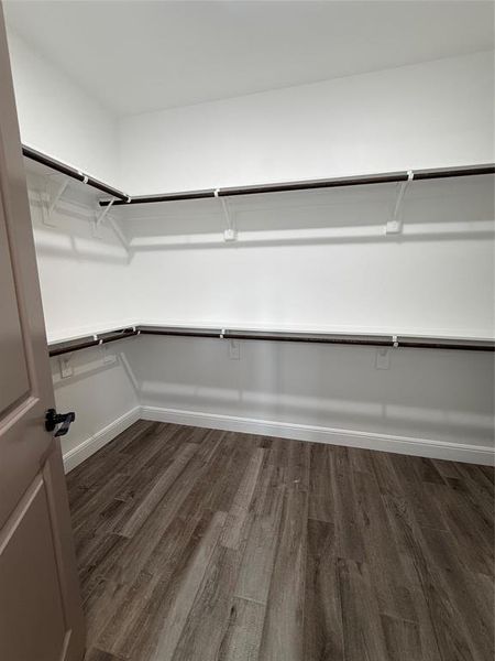 Spacious walk-in closet featuring wood-finish flooring, white walls, and built-in shelving with hanging rods Spacious walk-in closet featuring wood-finish flooring, white walls, and built-in shelving with hanging rods