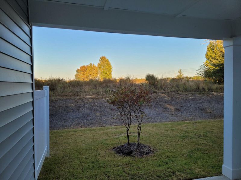 Exterior details and patio area of a home in 1158 Place Townhomes, Wilson (Image 2).