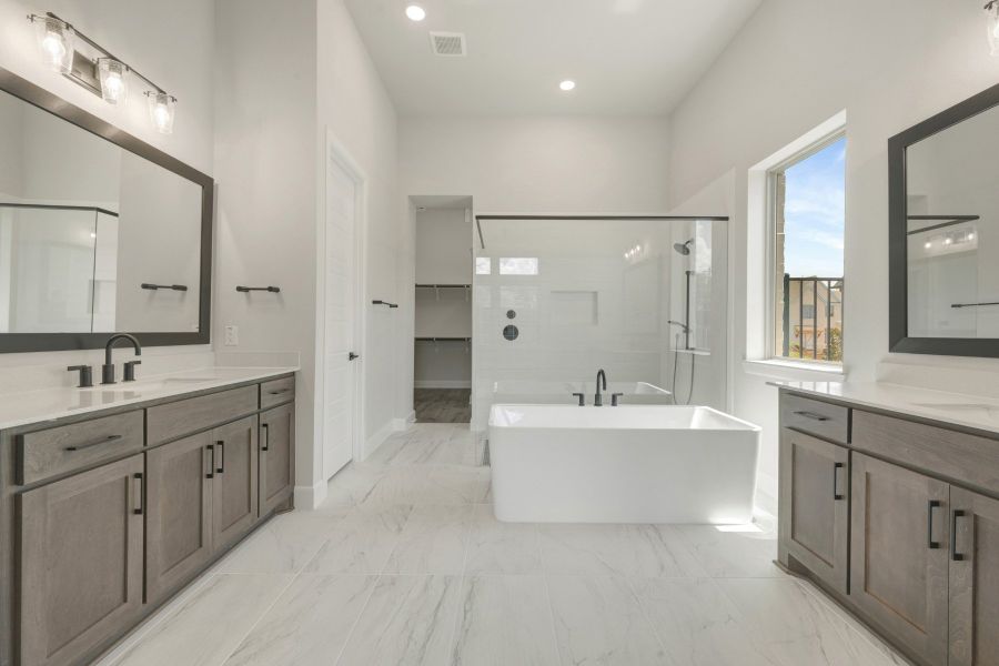 Owner's Bath