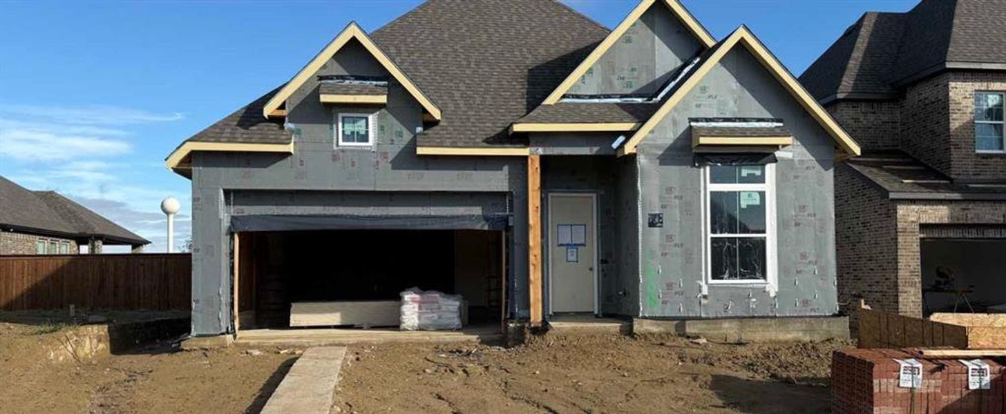 Exterior Design Construction Progress