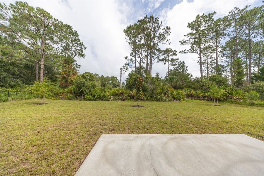 Natural landscape and outdoor views near Palm Coast in Palm Coast (Image 23). Natural landscape and outdoor views near Palm Coast in Palm Coast (Image 23).